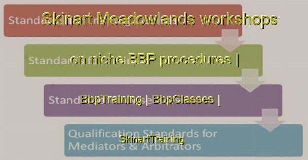Skinart Meadowlands workshops on niche BBP procedures | BbpTraining | BbpClasses | SkinartTraining-United States